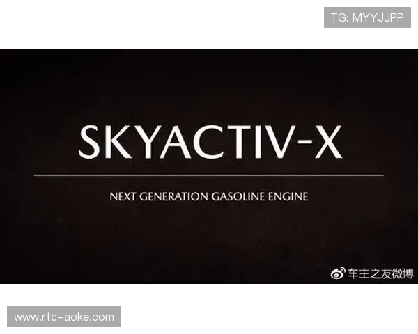 VAR技术持续应用于德甲，争议中不断完善